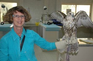 Falcon Hospital, Abu Dhabi