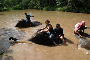 Elephant Camp, Anantara Golden Triangle Resort & Spa, Thailand