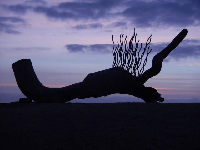 currawong by Lou Lambert. Photo Briar Jensen