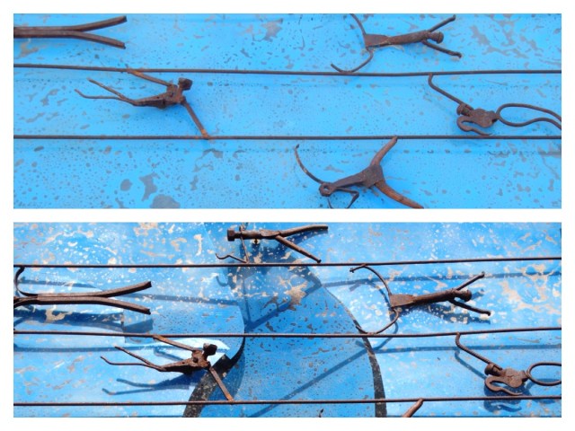 the boot pool by Ian Swift. Photos Briar Jensen