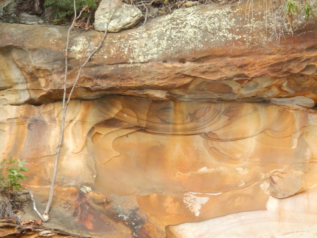 Aboriginal charcoal etchings visible from the water in Ku-ring-gai Chase National Park