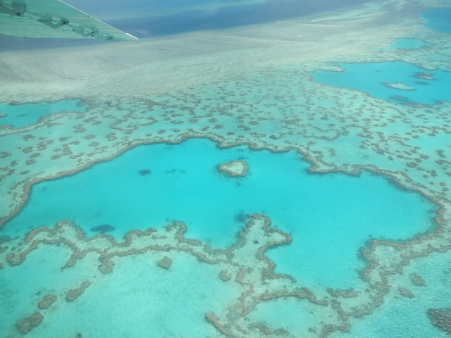 Heart Reef, Whitsundays, Australia