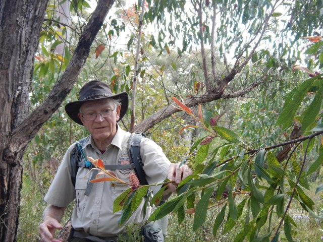 Vlunteer guide Warren Irish