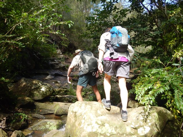 The terrain varies on each walk