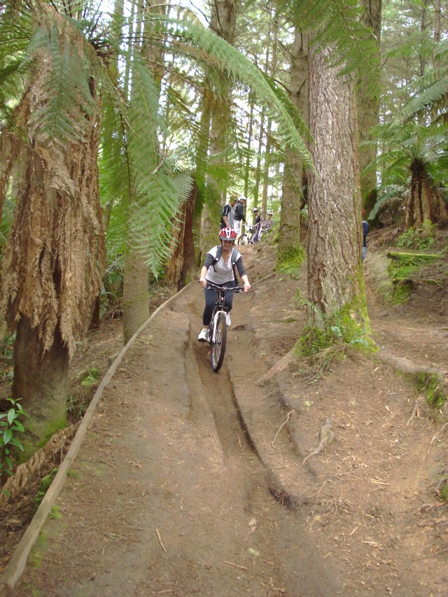 Whakarewarewa Forest