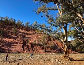 47 Riverbed on the Gorge Tour. Photo © Briar Jensen