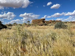 09 Lush grasses and granite boulders at Tiboobura. © Briar Jensen
